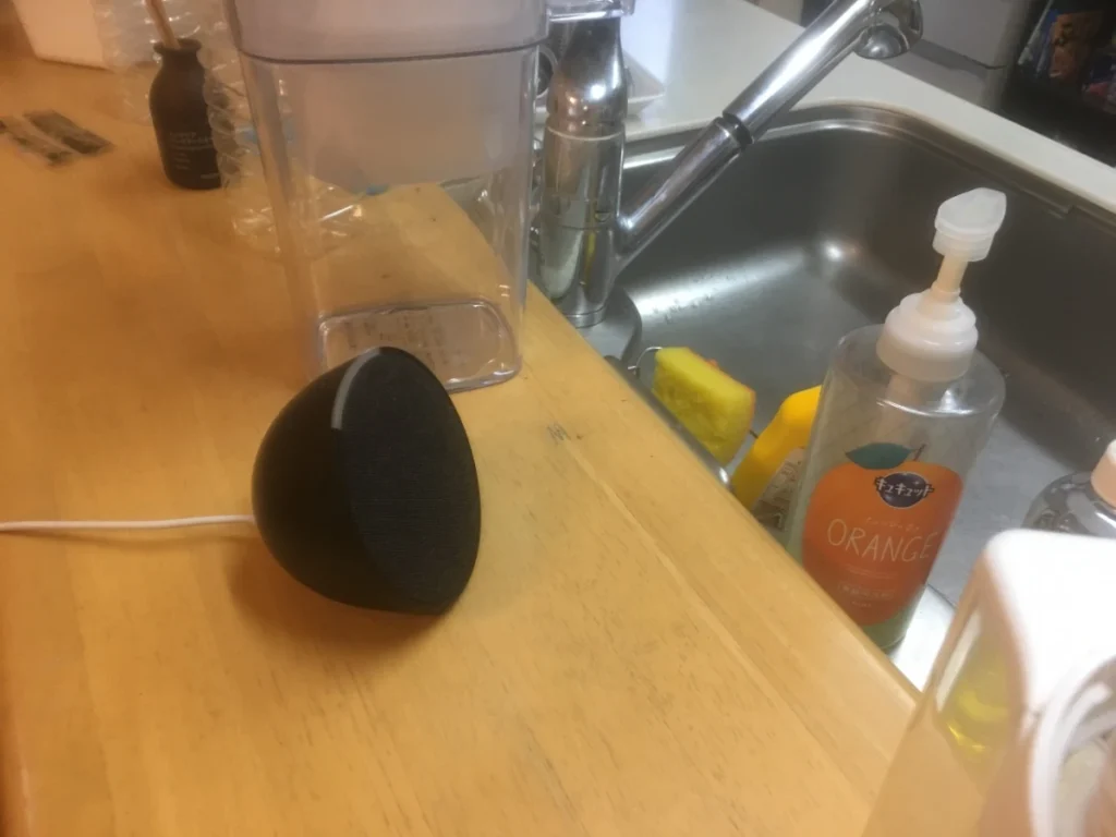 echopop台所に設置