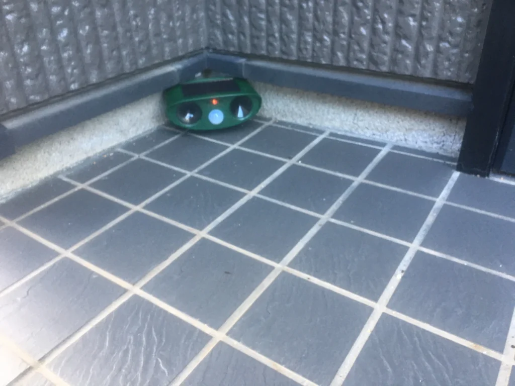 害獣撃退玄関脇